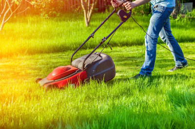 Mowing the grass could be on the way out