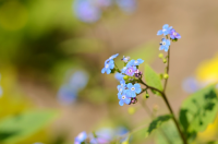 Time to start a wildflower meadow!