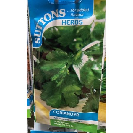 Herb Seed - Coriander