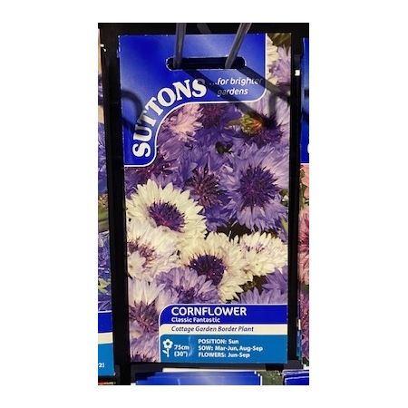 Cornflower Seeds - Classic Fantastic