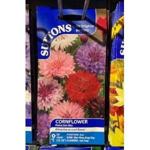 Cornflower Seeds - Polka Dot Mix