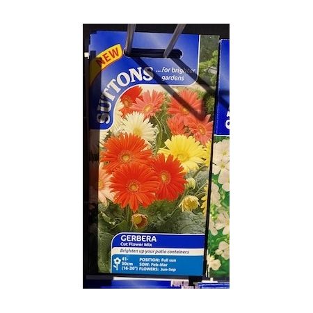 Gerbera Seeds - Cut Flower Mix