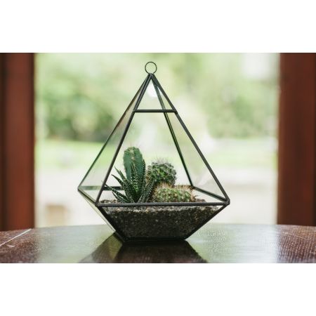 Glass Pyramid Terrarium