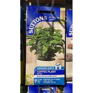 Houseplant Seeds - Barista