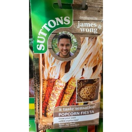 James Wong Sweet Corn Popcorn Fiesta