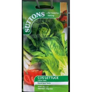 Lettuce Seeds - Little Gem