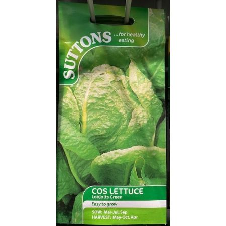 Lettuce Seeds - Lobjoits Green