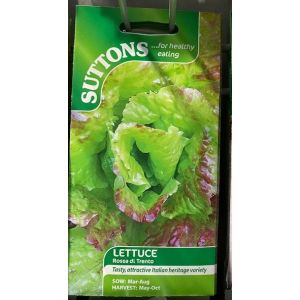 Lettuce Seeds - Rossa Di Trento