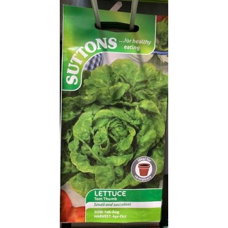 Lettuce Seeds - Tom Thumb