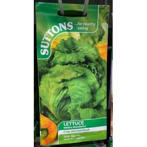 Lettuce Seeds - Webbs Wonderful