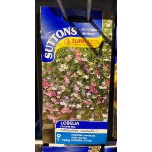 Lobelia Seeds - Cascade Mix