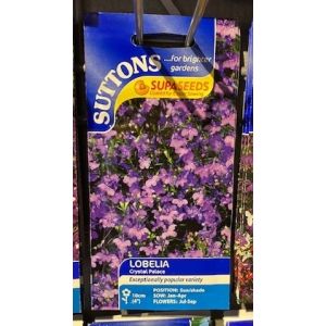 Lobelia Seeds - Crystal Palace