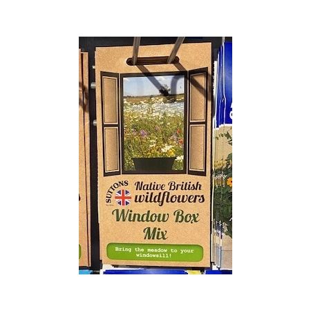 Native British Wildflower Mix - Window Box