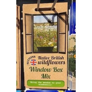 Native British Wildflower Mix - Window Box