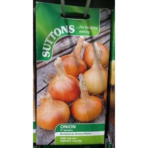 Onion Seeds - F1 Santero