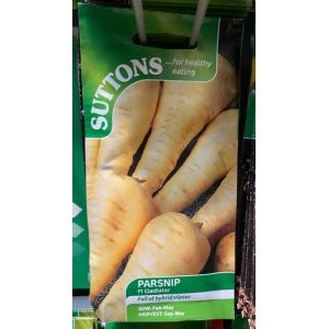 Parsnip Seeds - F1 Gladiator