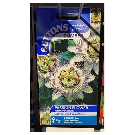 Passion Flower Seeds - caerulea