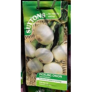 Onion Seeds - Paris Silverskin