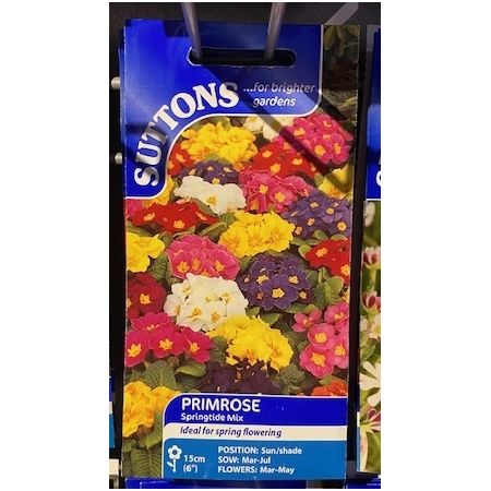 Primrose Springtide Mix