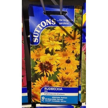 Rudbeckia Mix