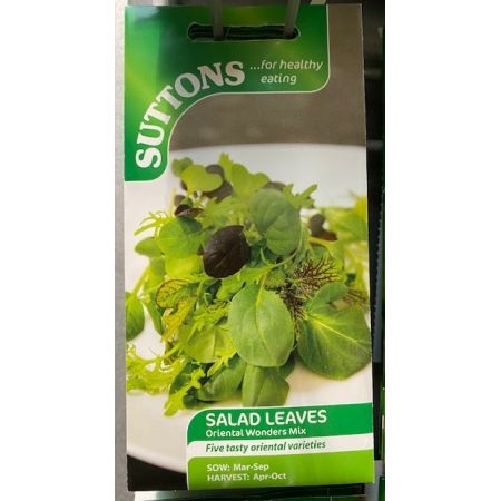 Salad Leaves Oriental Wonders Mix