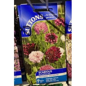 Scabious Seeds - Pincushion Mix