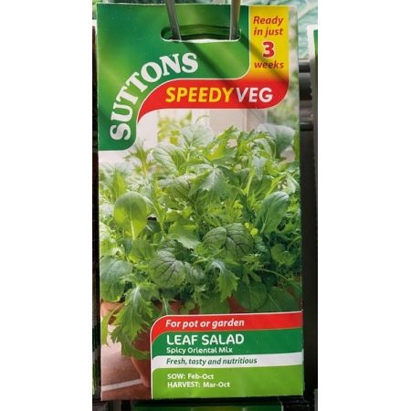 Speedy Veg Seed - Leaf Salad Spicy Oriental Mix