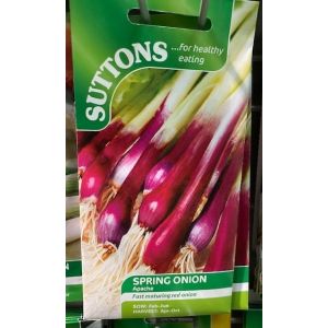 Onion (Salad) Seeds - Apache