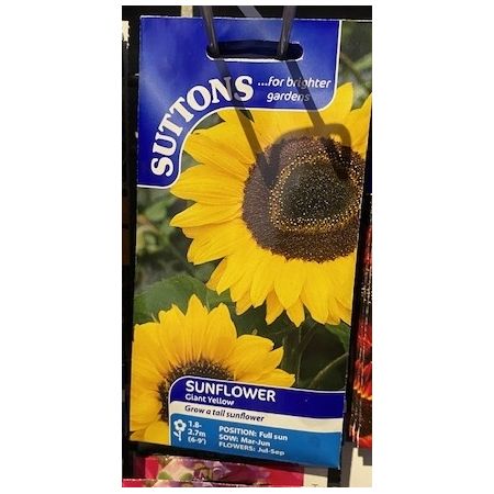 Sunflower Giant Yellow