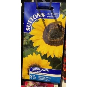 Sunflower Giant Yellow