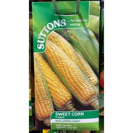 Sweet Corn Seeds - F1 Swift