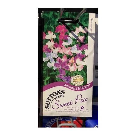 Sweet Pea Seeds - Amethyst & Orchids