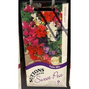 Sweet Pea Patio Mix