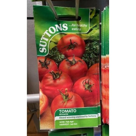 Tomato Seeds - Alicante